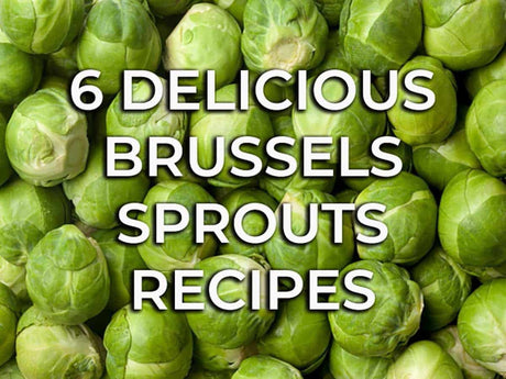 6 Delicious Brussels Sprouts Recipes
