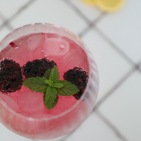 Blackberry & Lemon Gin Fizz Recipe