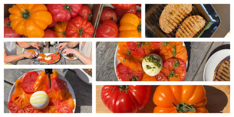 Fresh & Vibrant Caprese Salad with Burrata & Griddled Toast