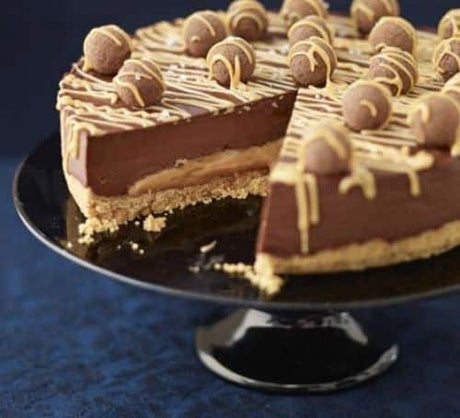 Salted caramel chocolate torte