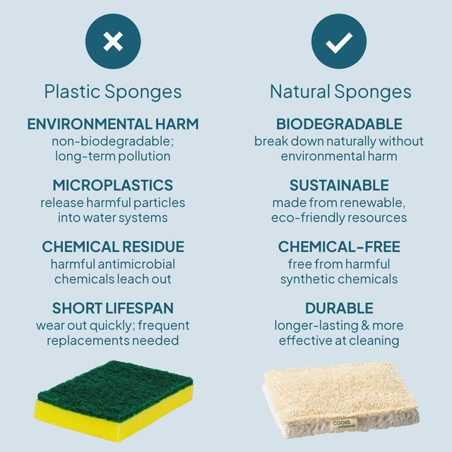 Cooks Professional Eco Cleaning Tools Set | 2 Pot Brushes and 4 Eco Sponges